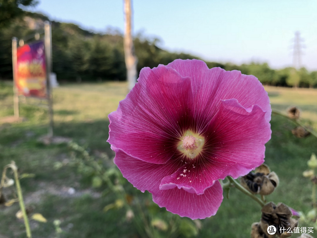 老人机不错的选择 iPhone 8 Plus 256G开箱体验