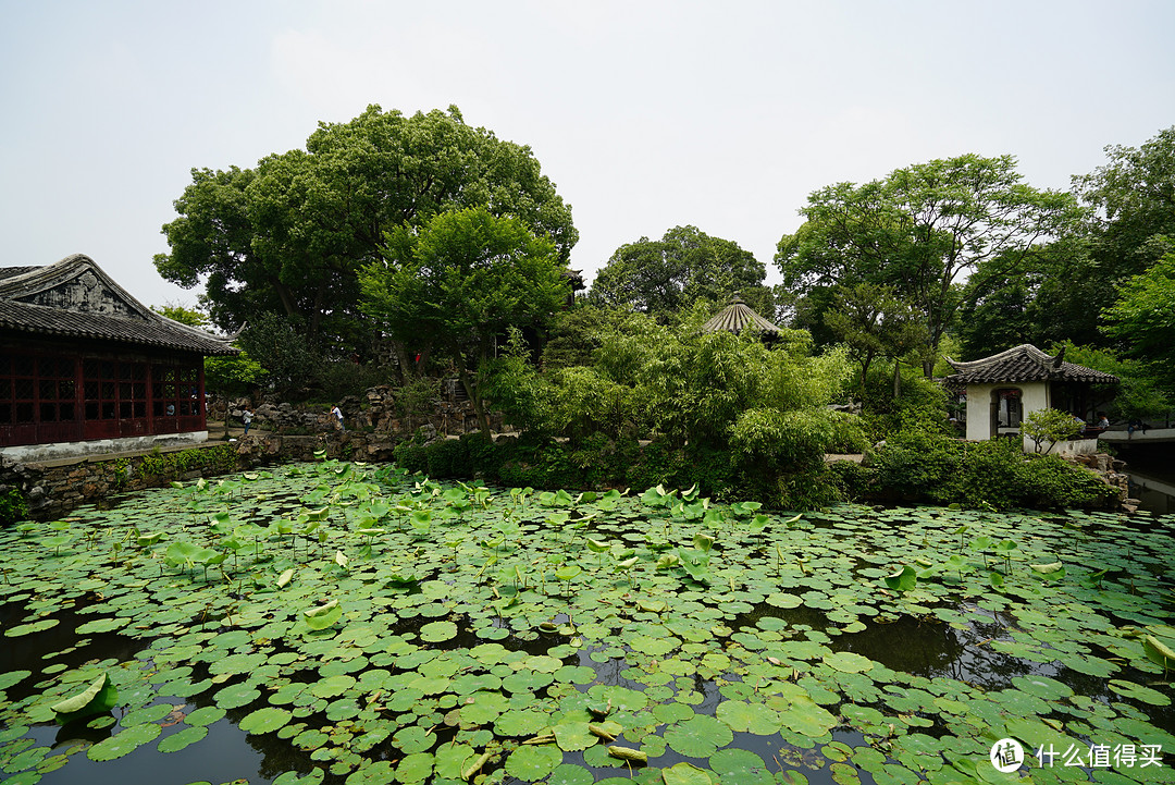 烟花四月下扬州：扬州、上海、苏州十二日自由行游记