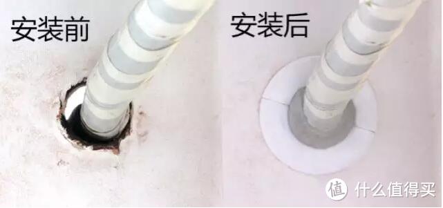 消灭蟑螂很简单!了解蟑螂的天敌就能轻松将TA们连根拔起!