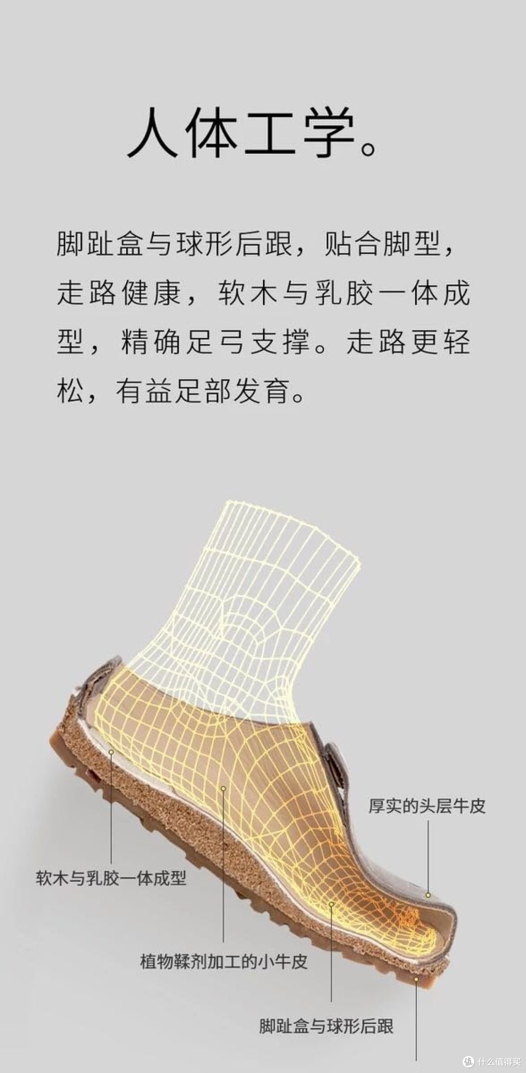 勃肯?别开玩笑了这个是haflinger