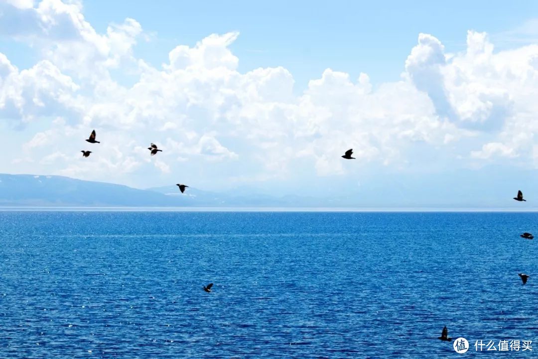 生活的伏笔 —— 初夏赛里木湖伊犁草原浪行记