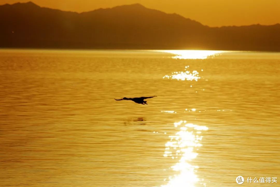 生活的伏笔 —— 初夏赛里木湖伊犁草原浪行记