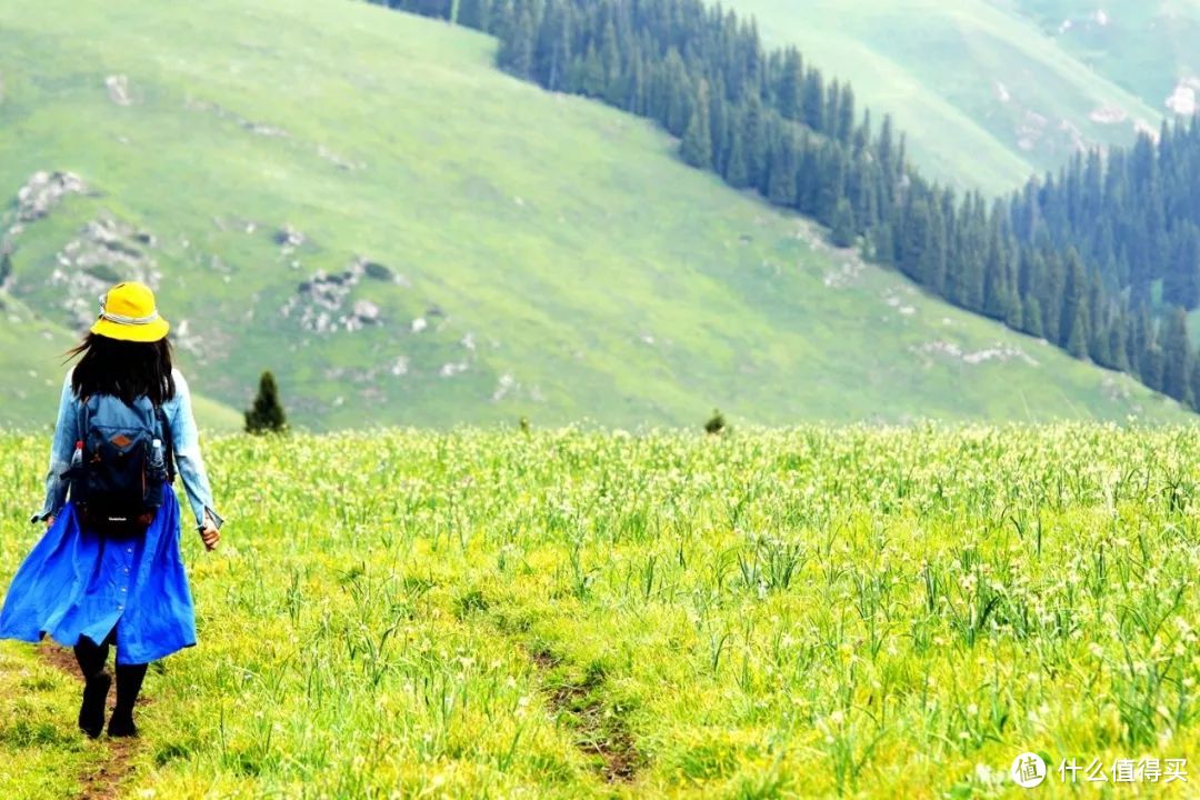 生活的伏笔 —— 初夏赛里木湖伊犁草原浪行记