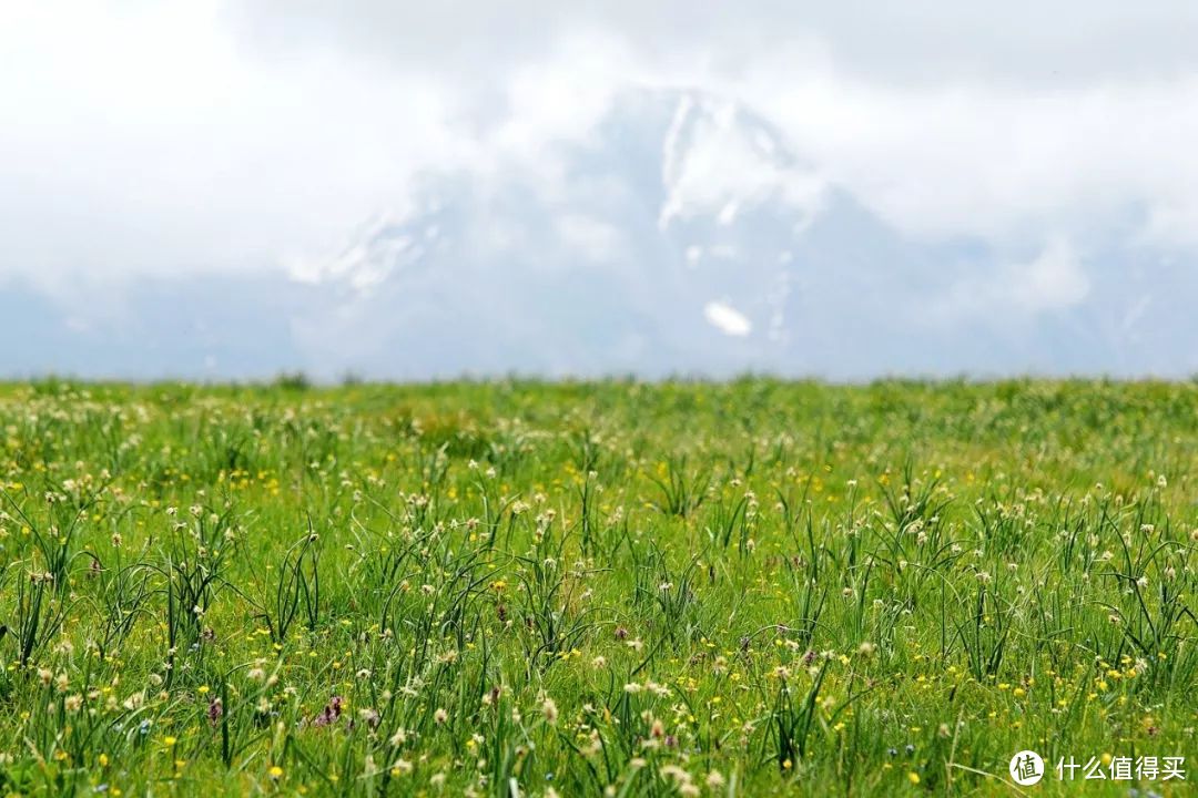 生活的伏笔 —— 初夏赛里木湖伊犁草原浪行记