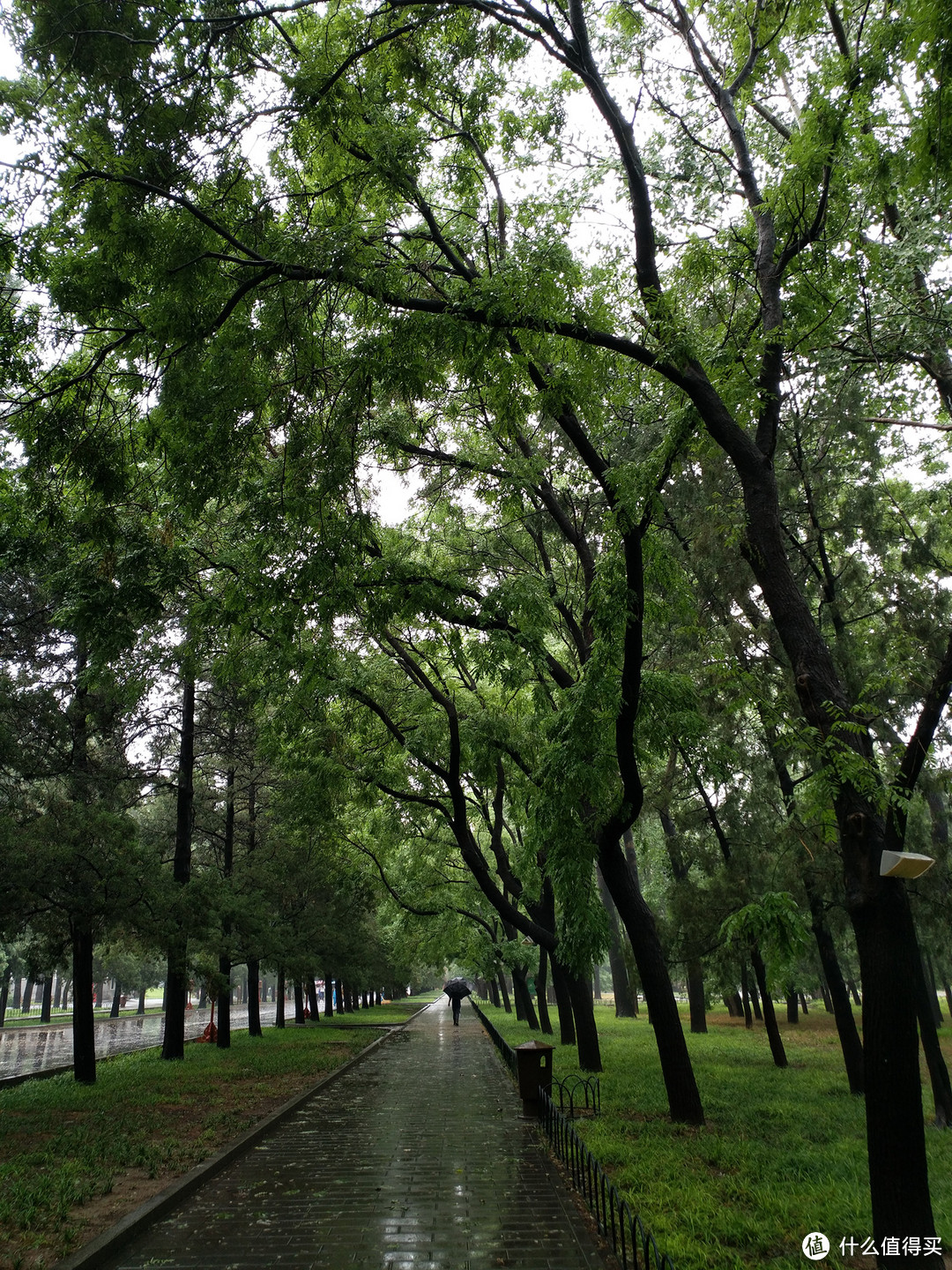 雨中游天坛是一种什么样的感受？