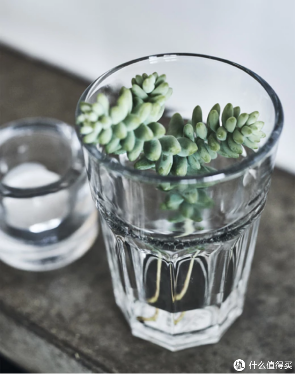 玩转宜家 篇九:50个实用案例,教你低成本布置绿