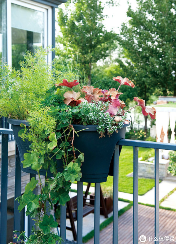 玩转宜家 篇九:50个实用案例,教你低成本布置绿