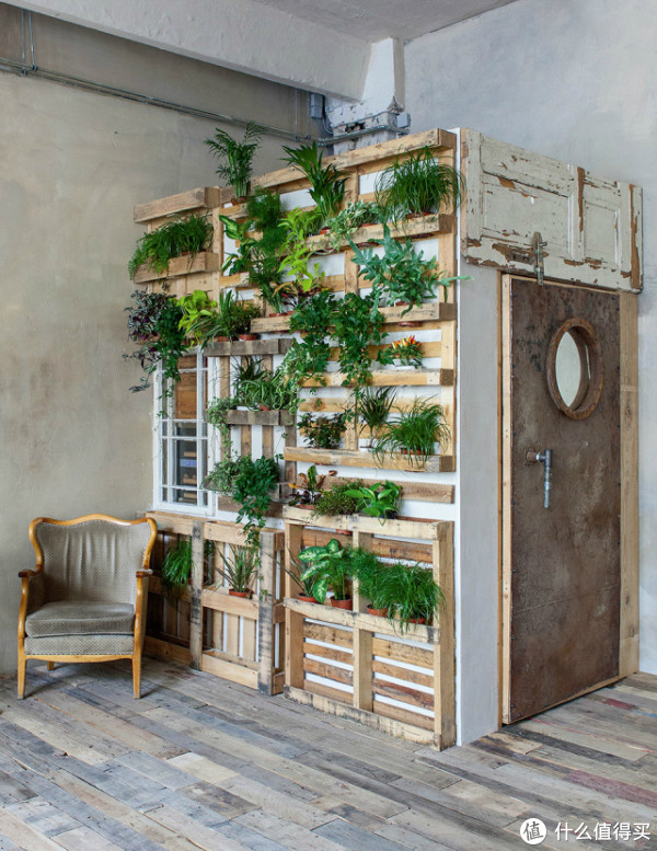 玩转宜家 篇九:50个实用案例,教你低成本布置绿