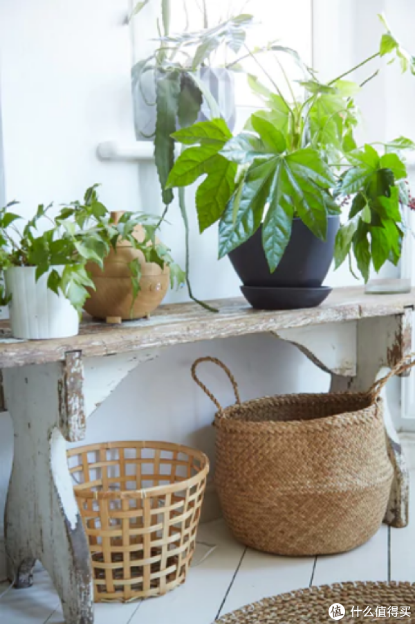 玩转宜家 篇九:50个实用案例,教你低成本布置绿