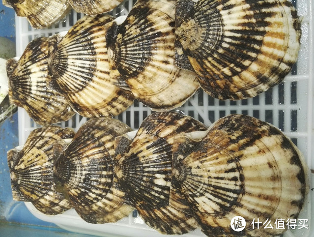 2018北戴河旅游全攻略:当地人教你怎么玩儿北戴河