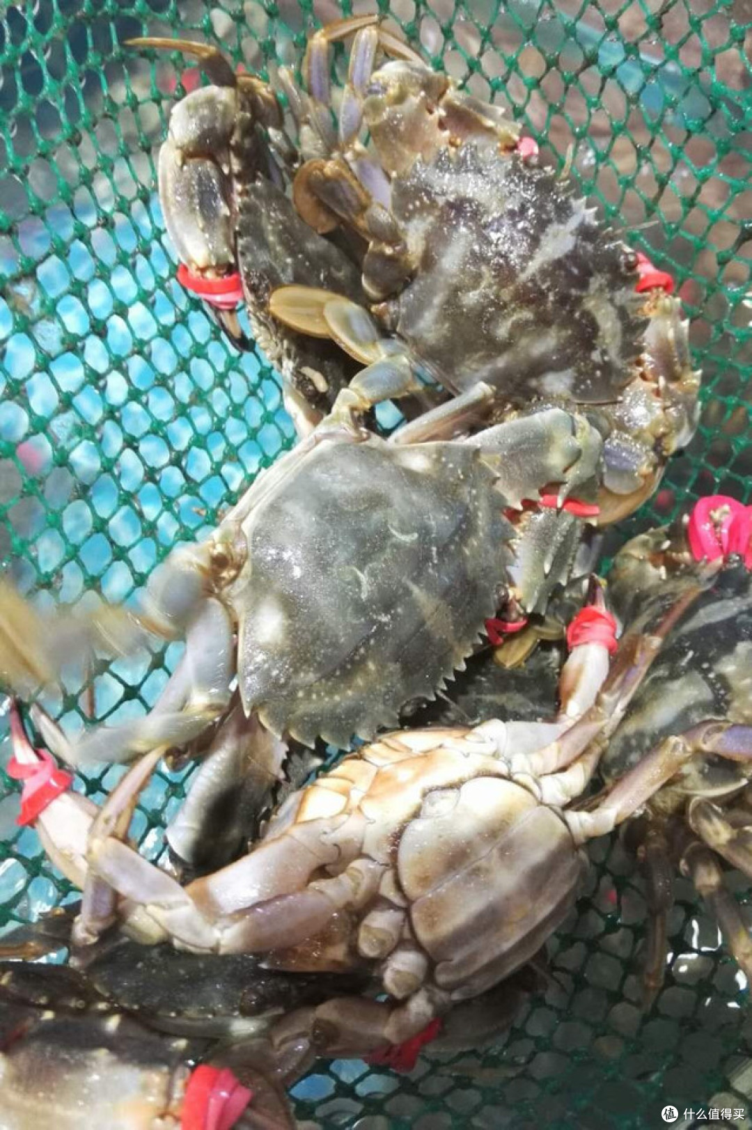2018北戴河旅游全攻略:当地人教你怎么玩儿北戴河