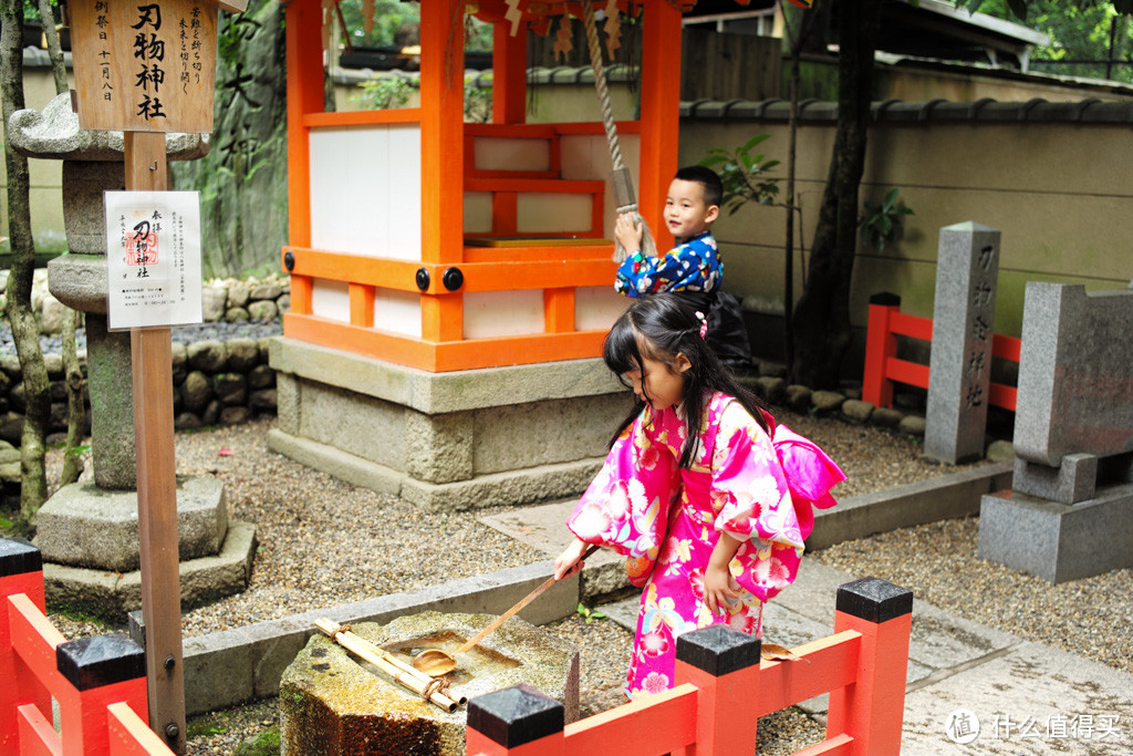 DAY7-变装、八板神社、花见小路、中村楼怀石料理（上）