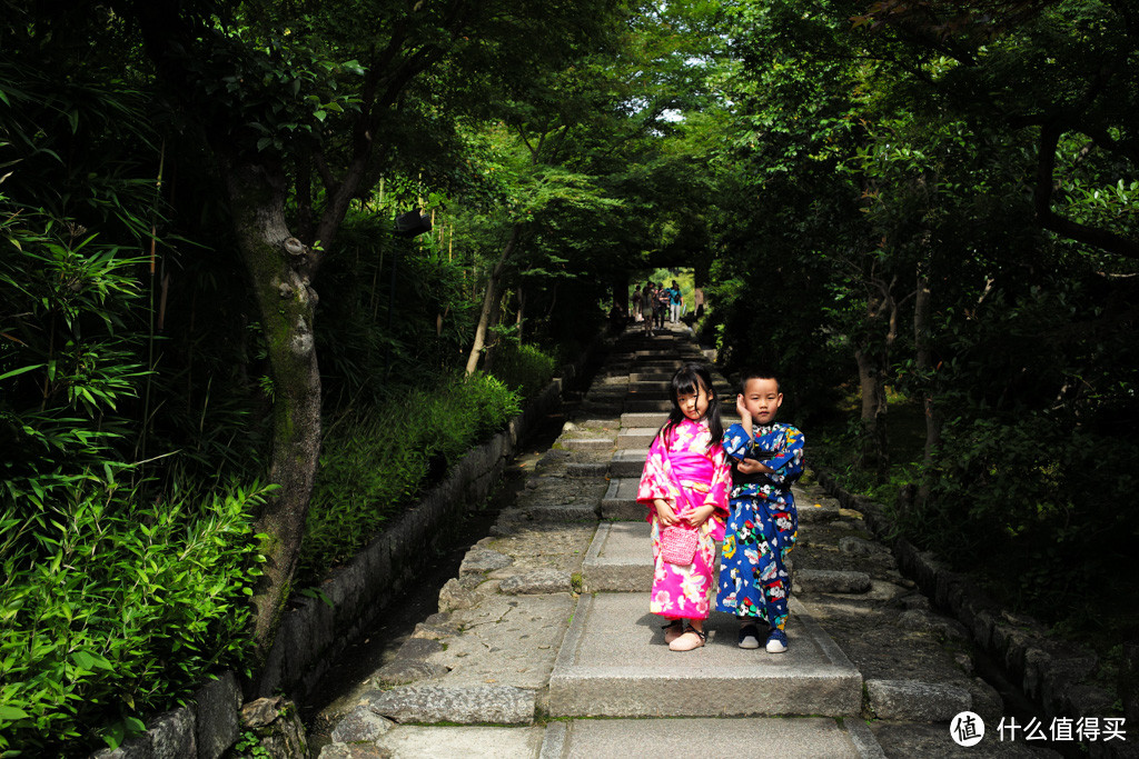 DAY7-圆德寺、高台寺、清水寺（下）