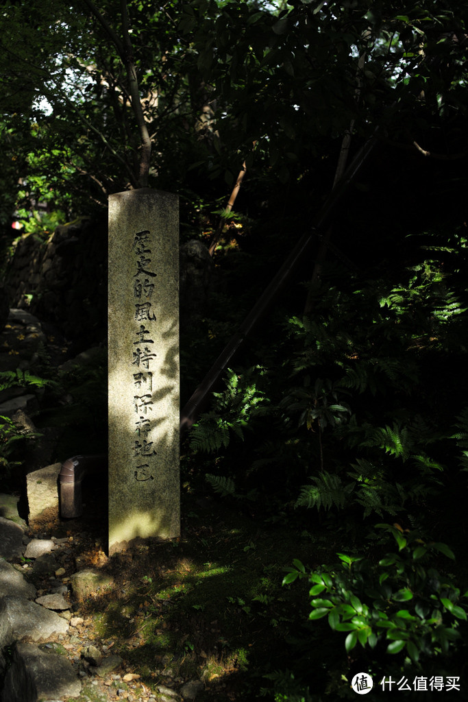 DAY7-圆德寺、高台寺、清水寺（下）