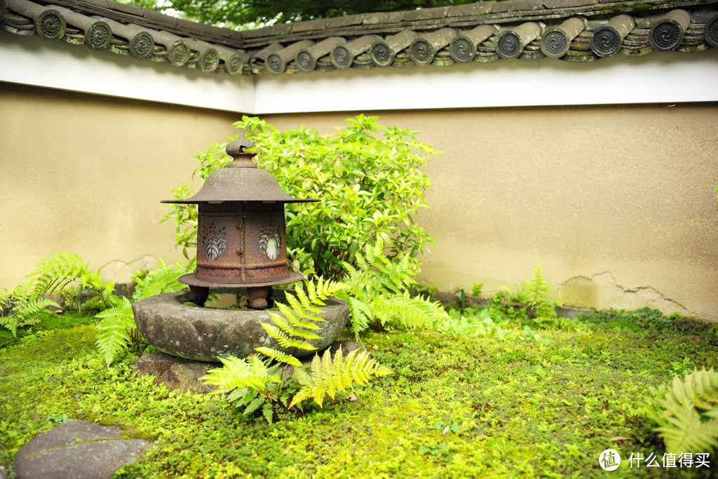 DAY7-圆德寺、高台寺、清水寺（下）