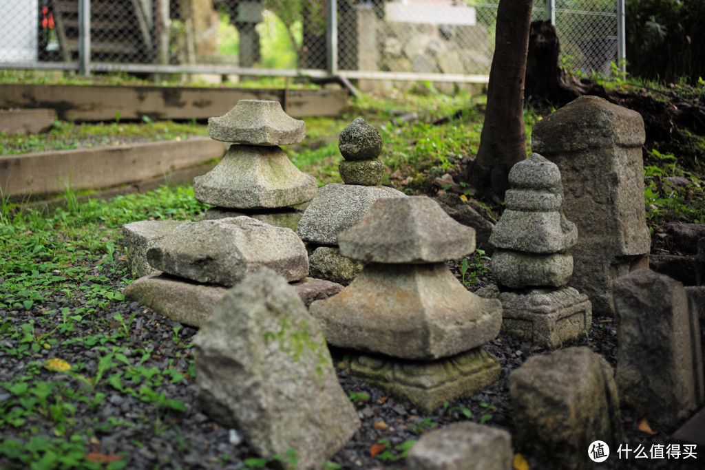 DAY7-圆德寺、高台寺、清水寺（下）