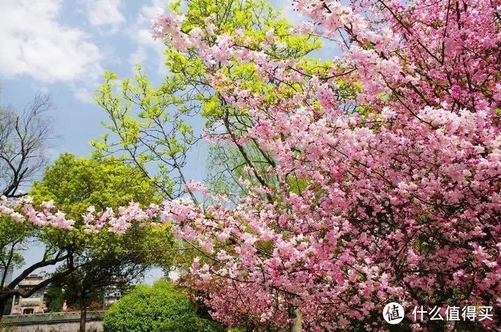 找个合适季节来是关键