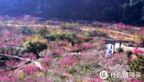 九峰山可是咱们宁波北仑人的后花园，梅花樱花梨花，飞瀑怪石美不胜收