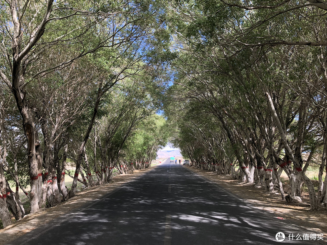 前往中国最西、最低端的新疆，这里一条公路上能看到春夏秋冬的美景