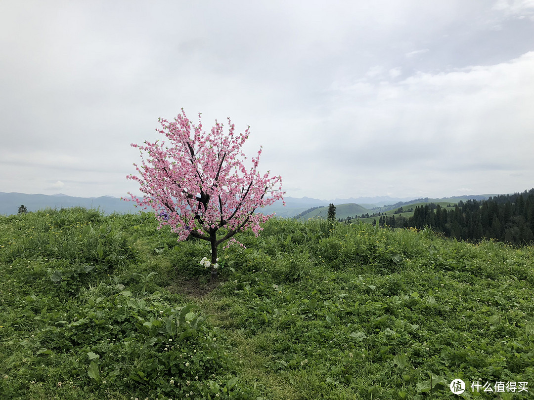 前往中国最西、最低端的新疆，这里一条公路上能看到春夏秋冬的美景