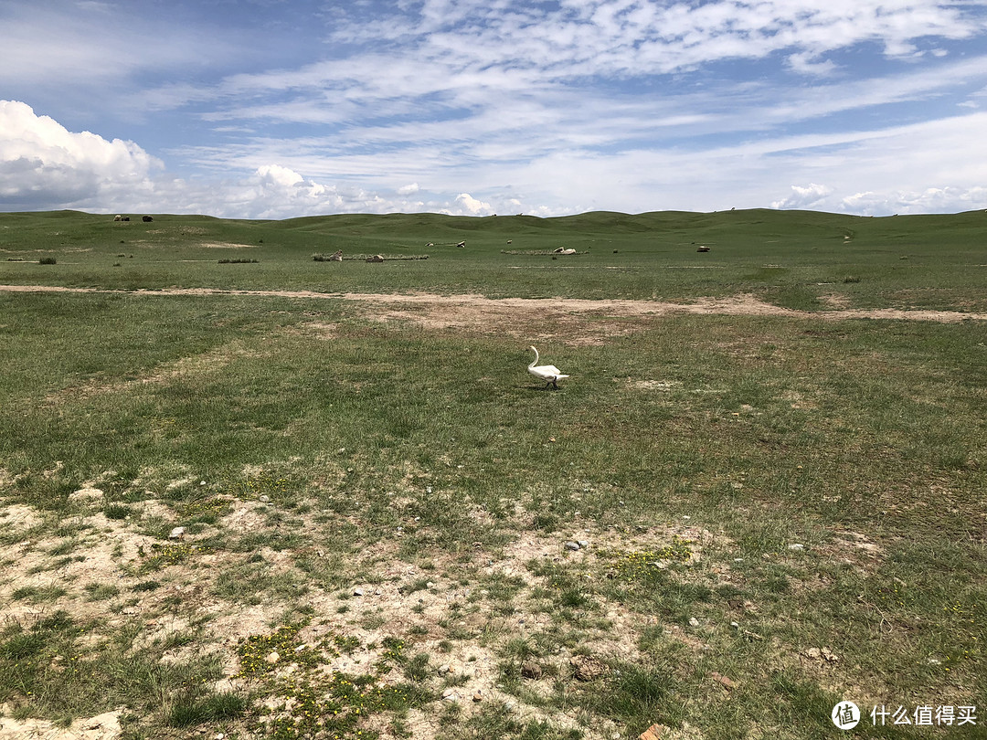 前往中国最西、最低端的新疆，这里一条公路上能看到春夏秋冬的美景