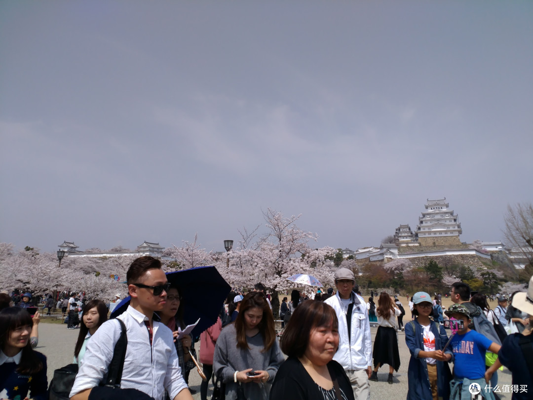 人从众