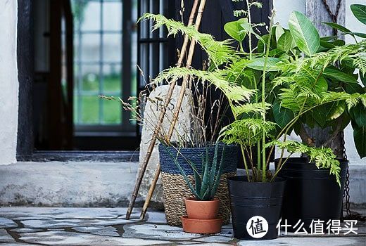 种草宜家和无印良品，来看看宜家北欧VS无印日风