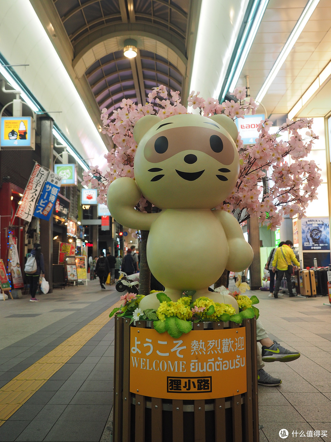 札幌、函馆、小樽、旭川、富良野初夏游记