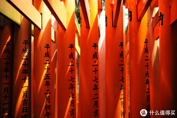 DAY8-伏见稻荷大社、三十三间堂