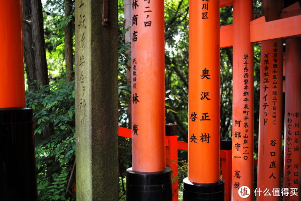 DAY8-伏见稻荷大社、三十三间堂