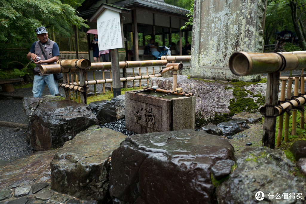 DAY9-10 最终章：嵯峨野、二条城、滚回家上班