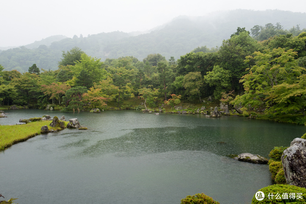 DAY9-10 最终章：嵯峨野、二条城、滚回家上班