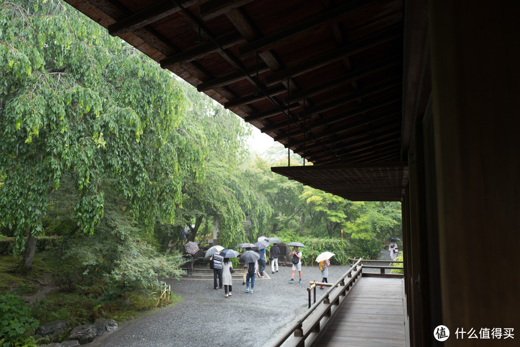 DAY9-10 最终章：嵯峨野、二条城、滚回家上班