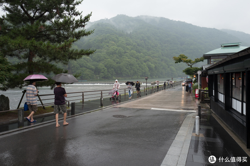 DAY9-10 最终章：嵯峨野、二条城、滚回家上班