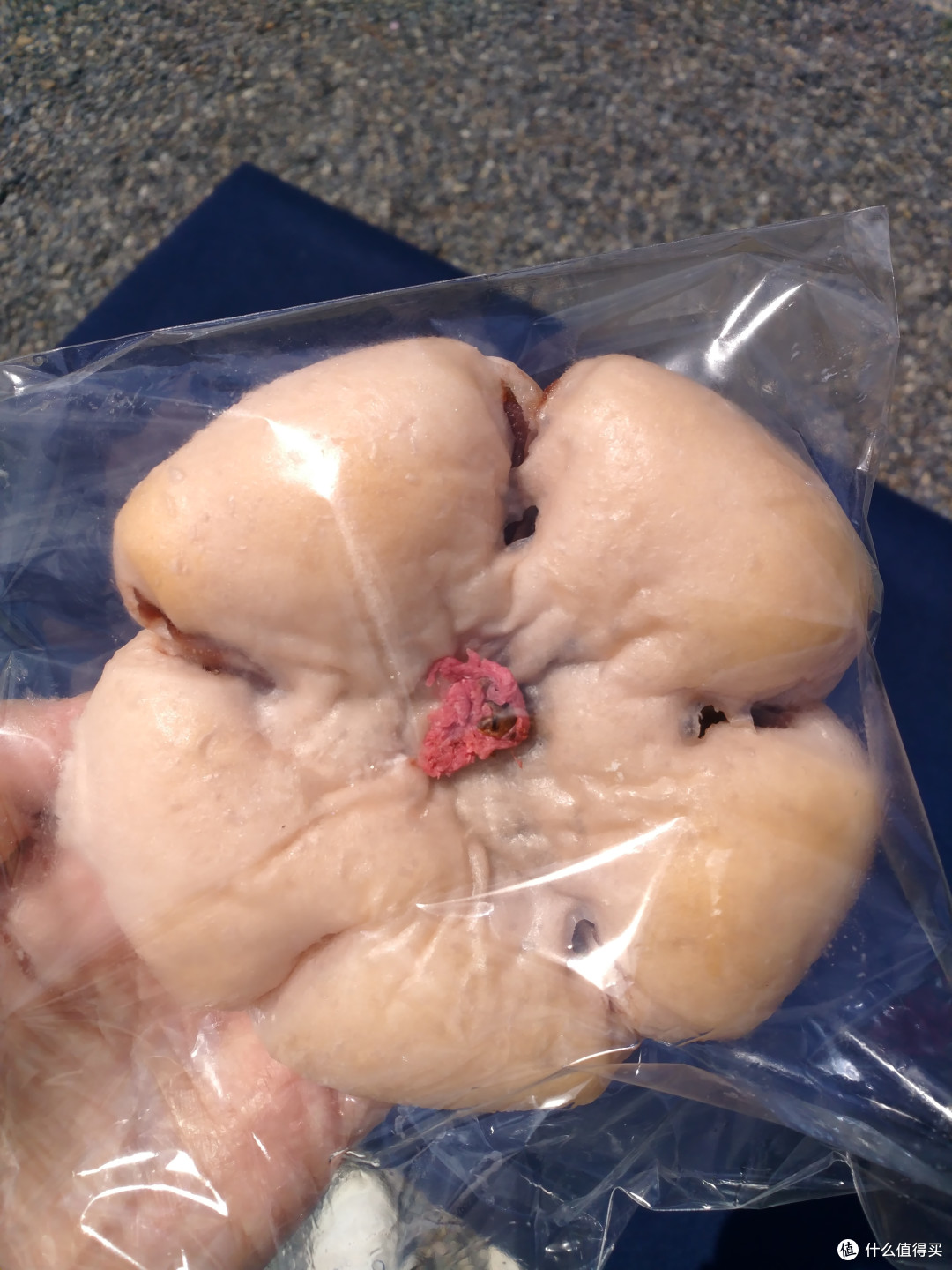 暴走霓虹第三弹!敲多图记录200斤18岁少女的关西之旅