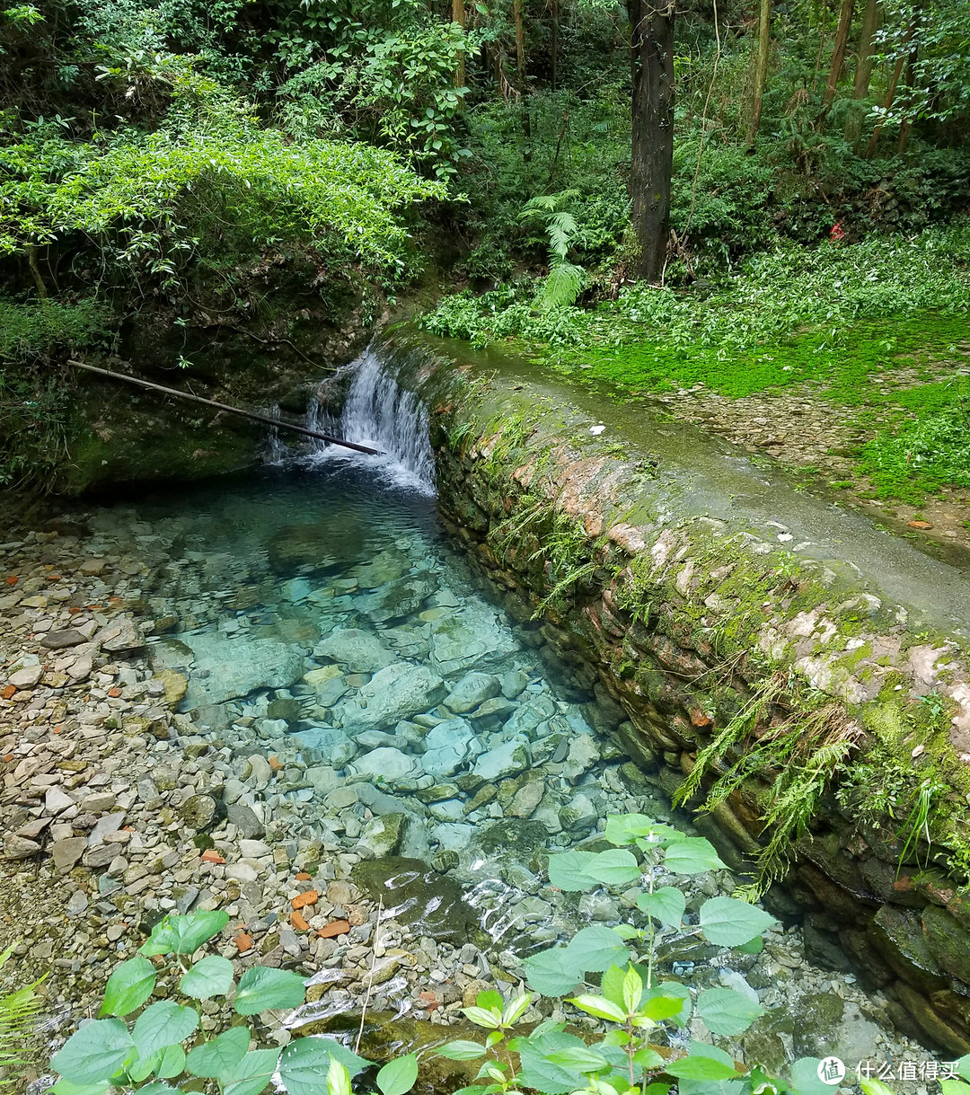 暑期浙江行（雁荡山、楠溪江、茗岙梯田、神仙居、方特）