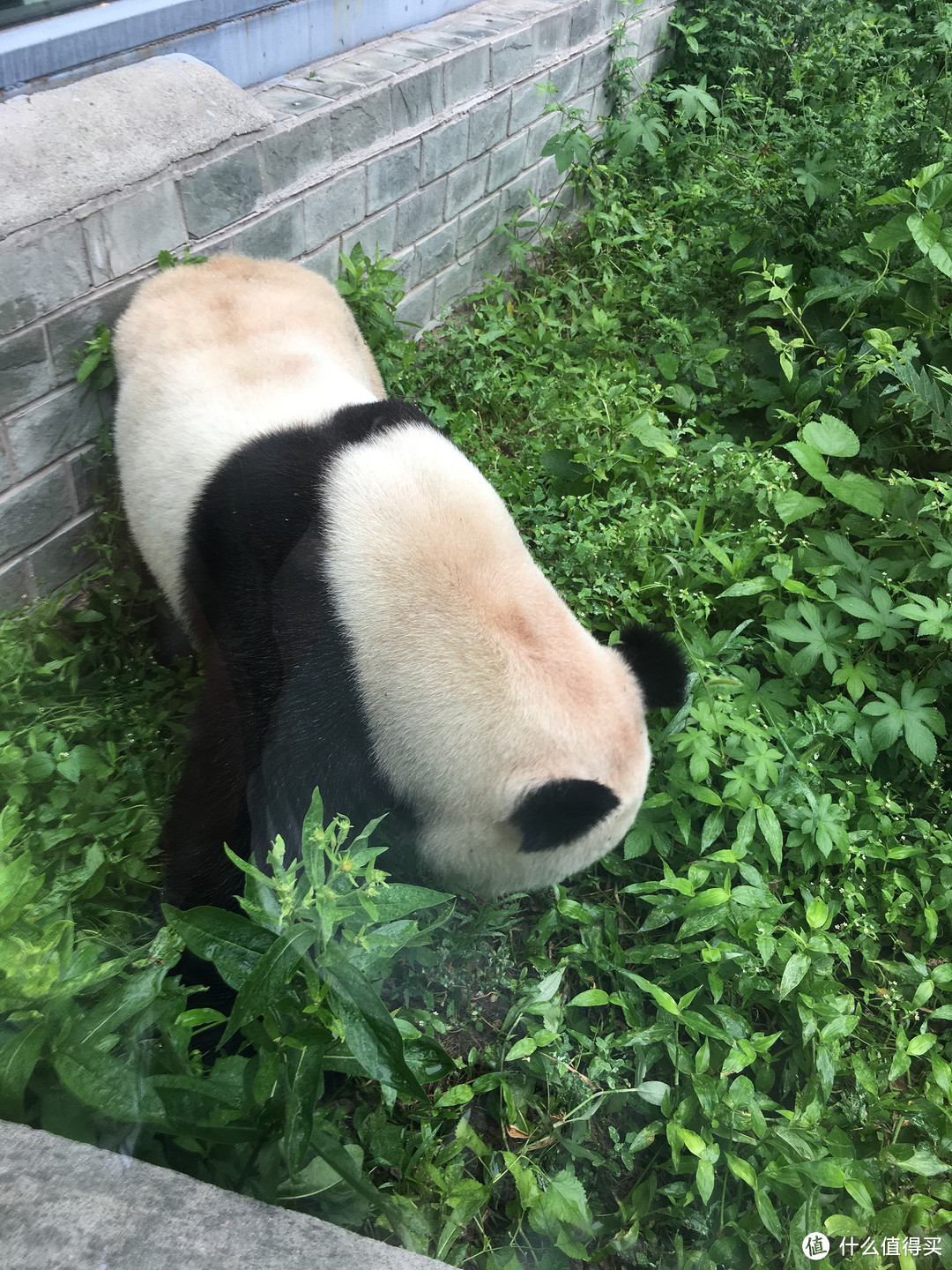 酷夏来临之前的北京亲子5日游