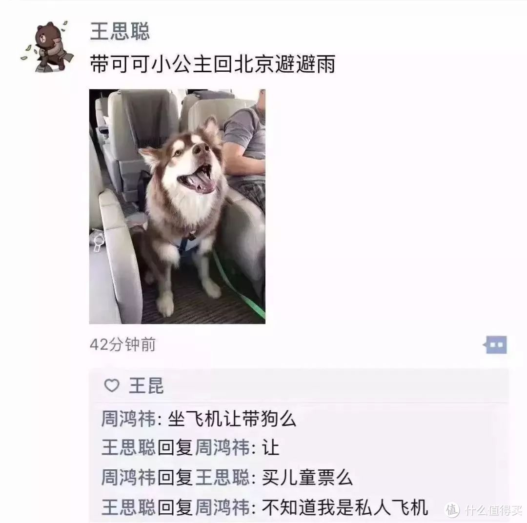 为了让你家主子安全舒心地坐飞机了—我特意理了个攻略