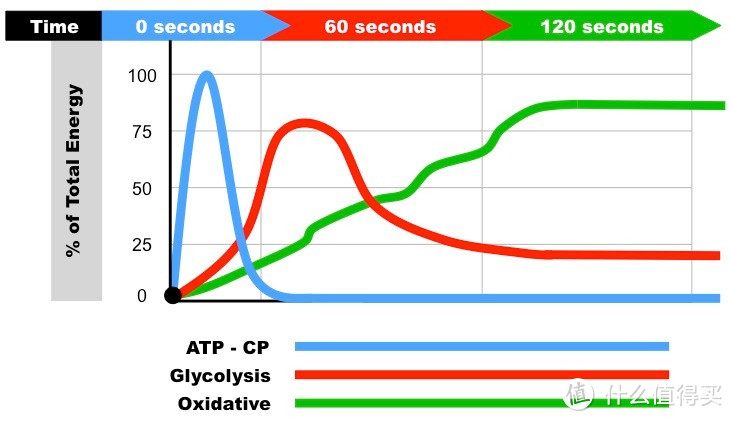 这副图显示了身体各种物质的供能效率：先是 ATP，然后是糖，最后是脂肪