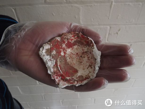 在林肯郡（Lincolnshire）发现的一枚中世纪时期的欧洲平牡蛎壳，它曾被用做调色盘。图片：Allen Archaeology Ltd