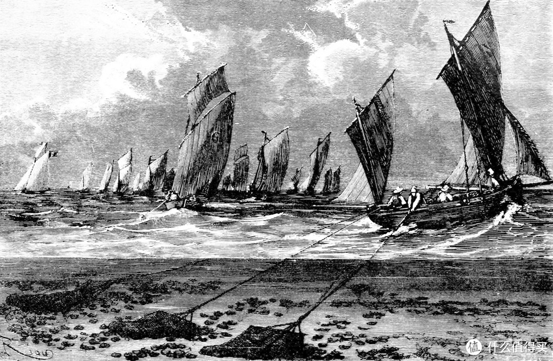 19世纪用拖网捕捞牡蛎的渔船。图片：Popular Science Monthly（Vol 6, 1875）/ wikimedia