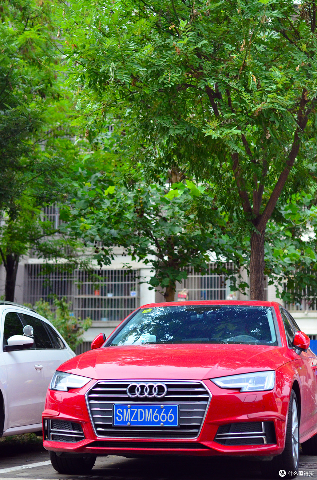 虫渍树胶居然不用抛光 车仆汽车虫胶树粘去除剂 美容清洁 什么值得买