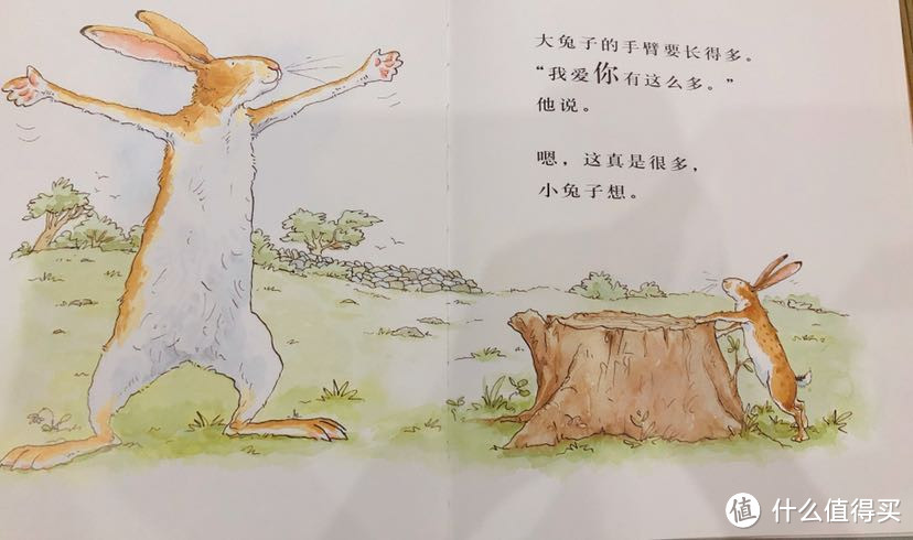 那些低幼的数学启蒙绘本