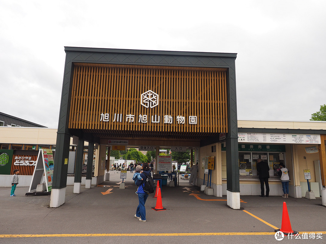 札幌、函馆、小樽、旭川、富良野初夏游记