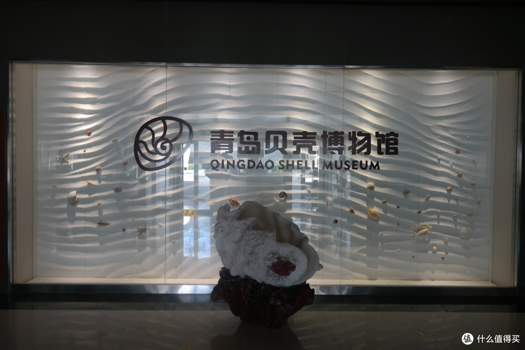 海市蜃楼的“蜃”到底是啥？全是知识点，快拿好小本本戳进来！