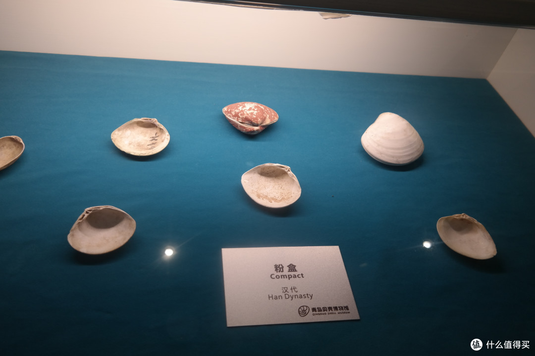 海市蜃楼的“蜃”到底是啥？全是知识点，快拿好小本本戳进来！