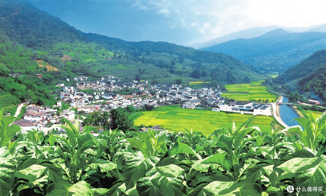 谈谈贸易战与柴米油盐