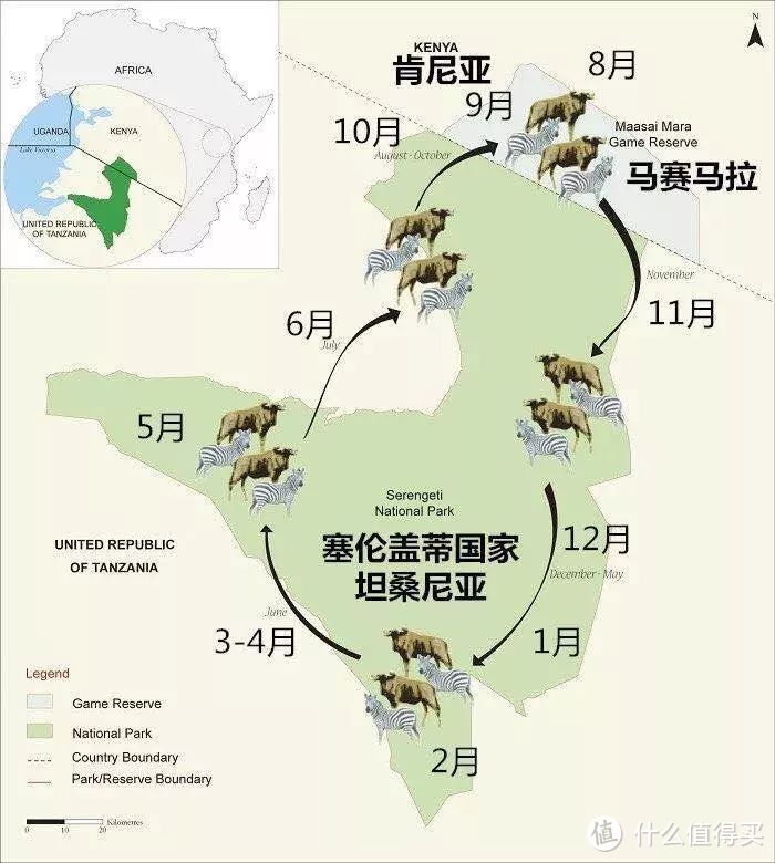 听说，今年第一批前往肯尼亚参加人类大迁徙的游客已经回来了