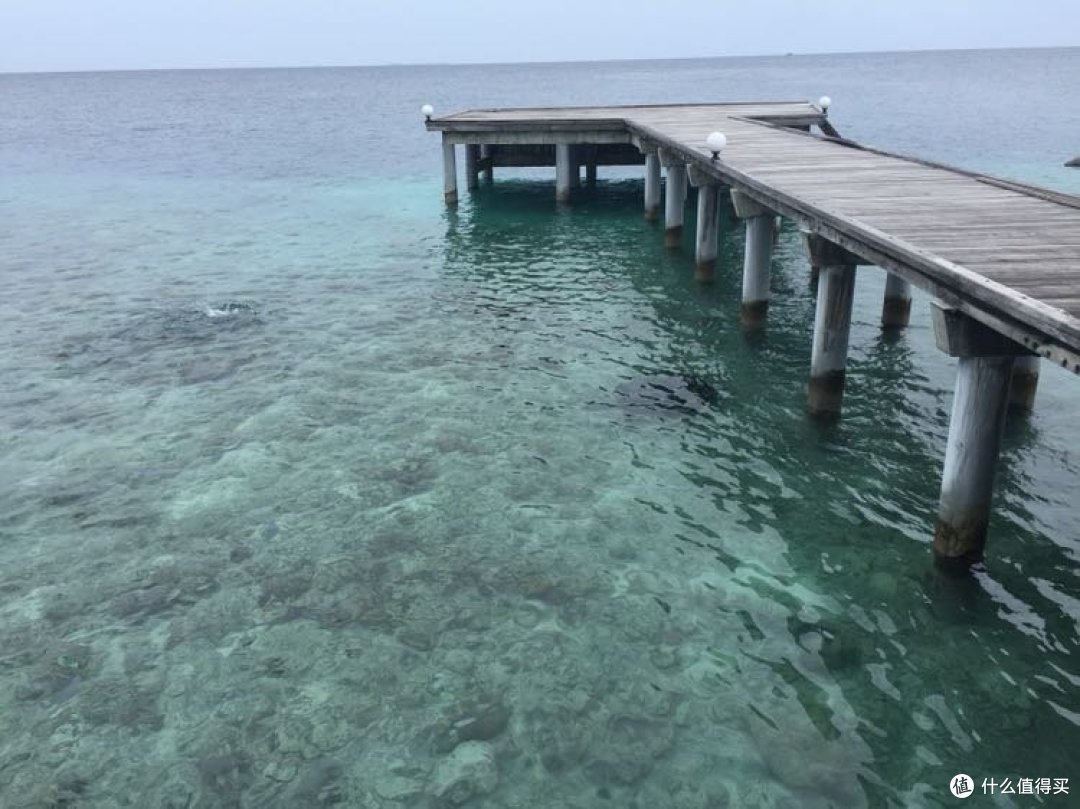 餐厅后面的样子