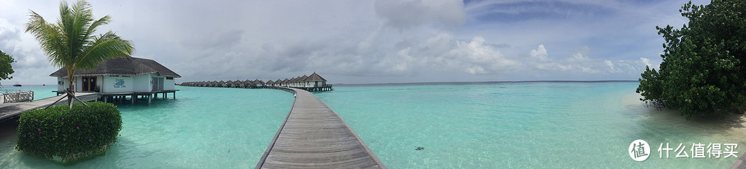 来一张水屋入口全景